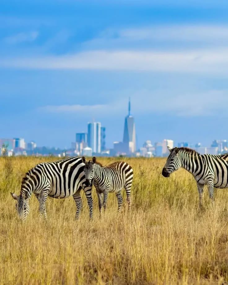 Safari Yetu